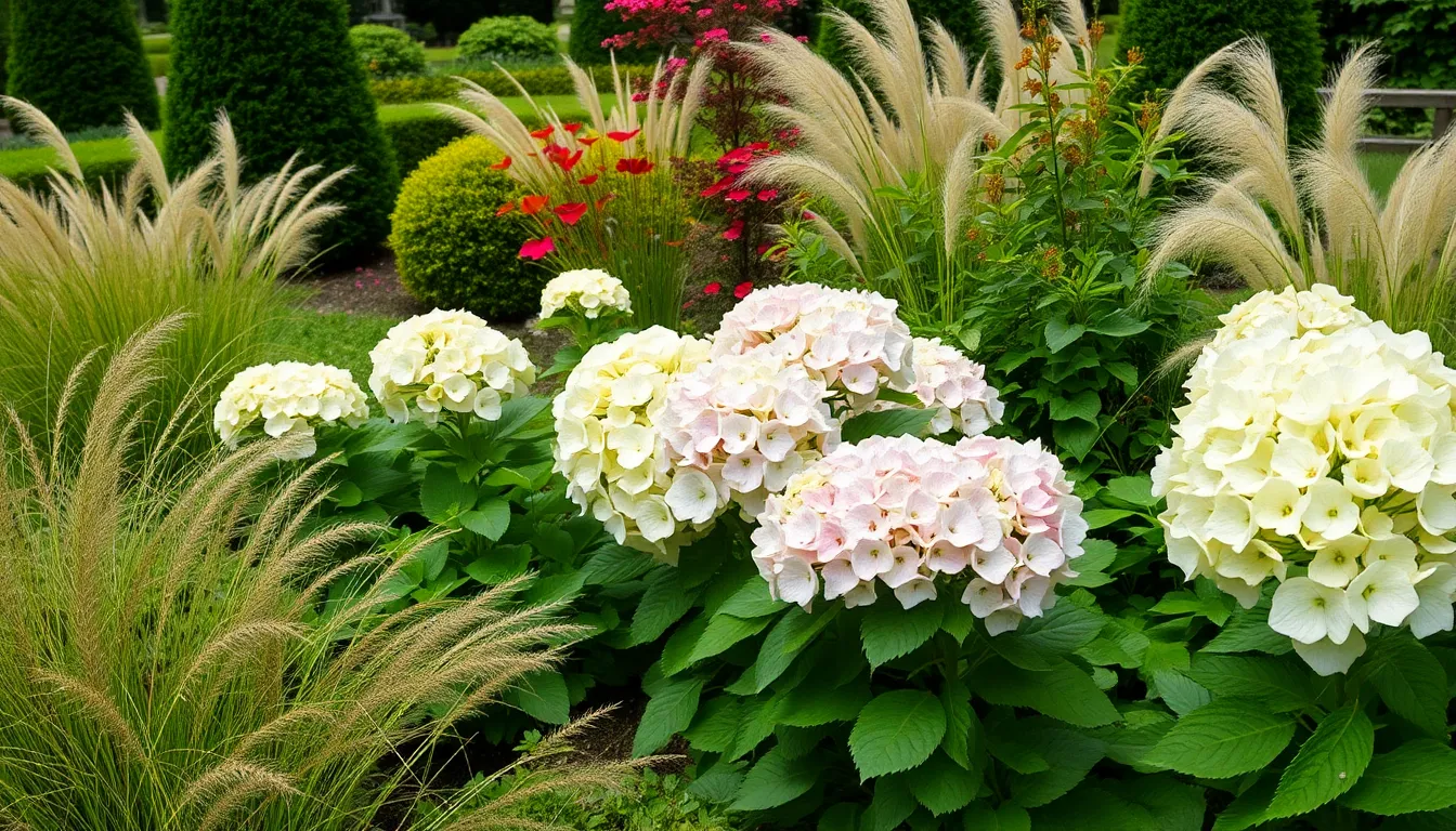 Best Limelight Hydrangea Companion Plants: 15 Perfect Garden Pairings That Thrive 4 Best Limelight Hydrangea Companion Plants: 15 Perfect Garden Pairings That Thrive 3