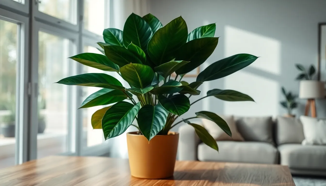 10 Best Indoor Plants for Beginners: Easy, Low-Maintenance Houseplants That Thrive 6 10 Best Indoor Plants for Beginners: Easy, Low-Maintenance Houseplants That Thrive 5