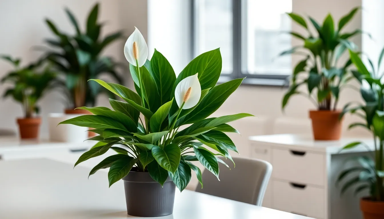 10 Best Indoor Plants for Low Light That Actually Thrive in Dark Rooms 6 10 Best Indoor Plants for Low Light That Actually Thrive in Dark Rooms 5