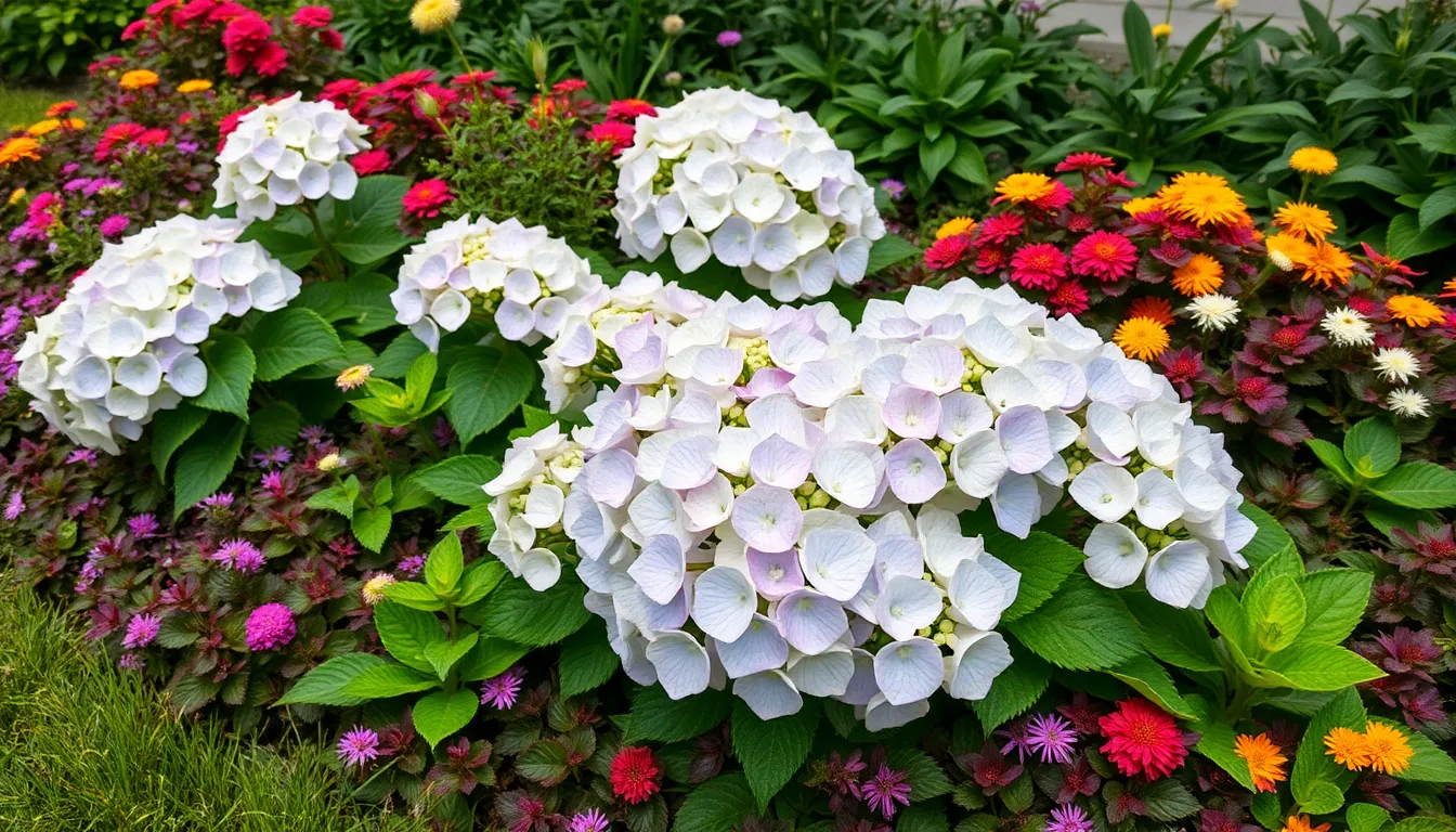 Best Limelight Hydrangea Companion Plants: 15 Perfect Garden Pairings That Thrive 6 Best Limelight Hydrangea Companion Plants: 15 Perfect Garden Pairings That Thrive 5