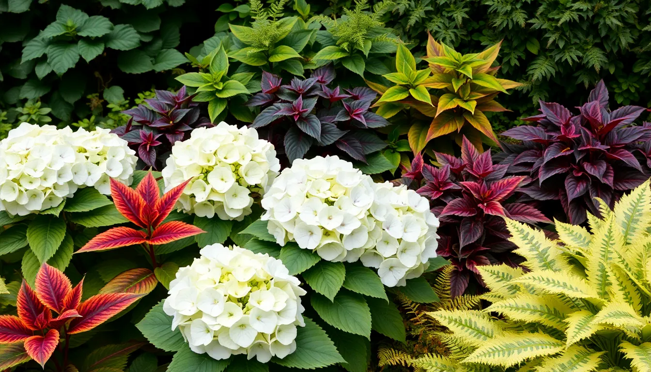 Best Limelight Hydrangea Companion Plants: 15 Perfect Garden Pairings That Thrive 8 Best Limelight Hydrangea Companion Plants: 15 Perfect Garden Pairings That Thrive 7