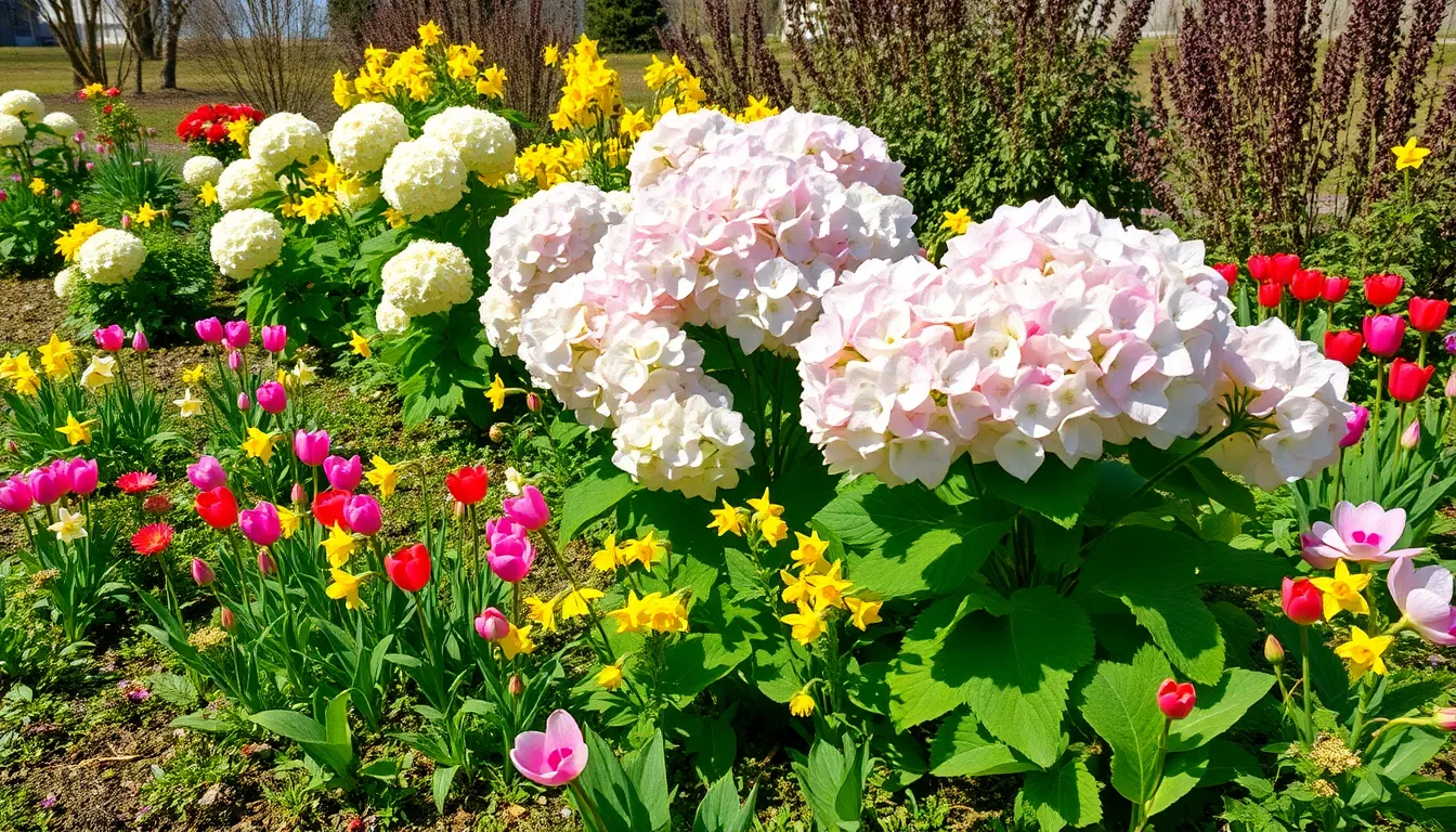 Best Limelight Hydrangea Companion Plants: 15 Perfect Garden Pairings That Thrive 10 Best Limelight Hydrangea Companion Plants: 15 Perfect Garden Pairings That Thrive 9
