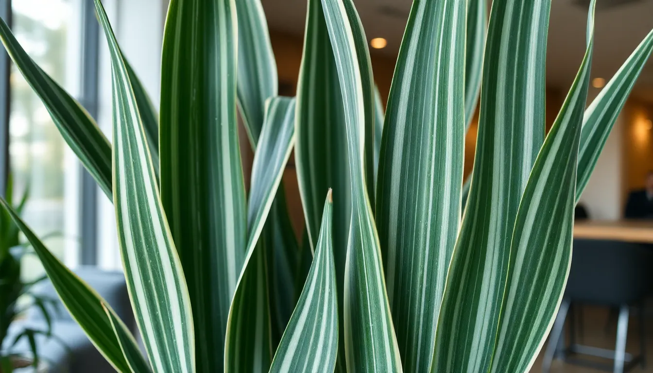 12 Stunning Types of Snake Plants to Transform Your Indoor Space 10 12 Stunning Types of Snake Plants to Transform Your Indoor Space 9
