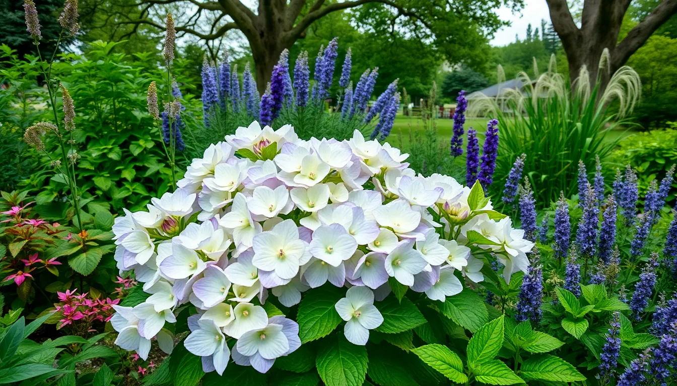 Best Limelight Hydrangea Companion Plants: 15 Perfect Garden Pairings That Thrive 12 Best Limelight Hydrangea Companion Plants: 15 Perfect Garden Pairings That Thrive 11
