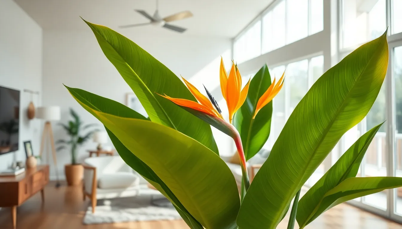11 Best Mid Century Modern Plants That Transform Your Retro Home Into a Design Masterpiece 12 11 Best Mid Century Modern Plants That Transform Your Retro Home Into a Design Masterpiece 11