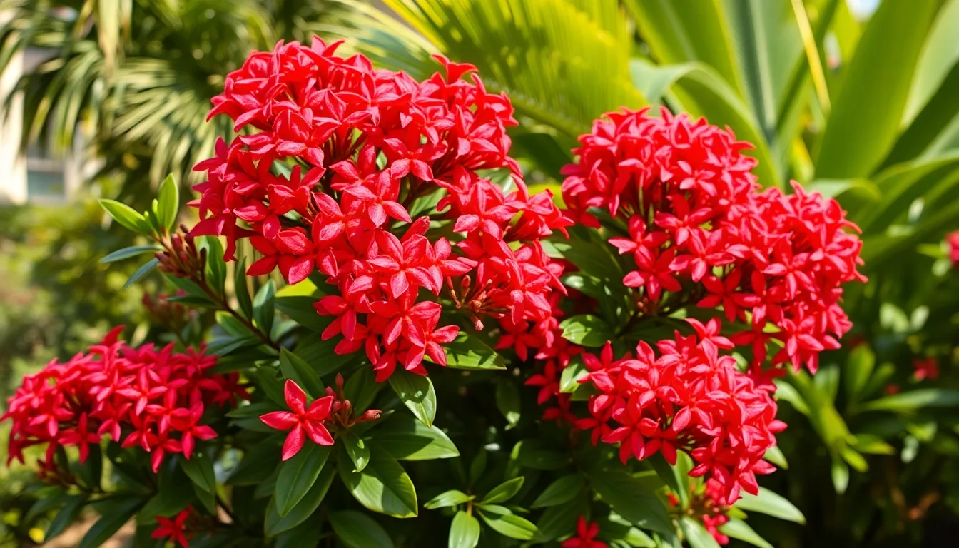15 Best Full Sun Tropical Plants That Thrive in Hot Weather (Complete Care Guide) 14 15 Best Full Sun Tropical Plants That Thrive in Hot Weather (Complete Care Guide) 13
