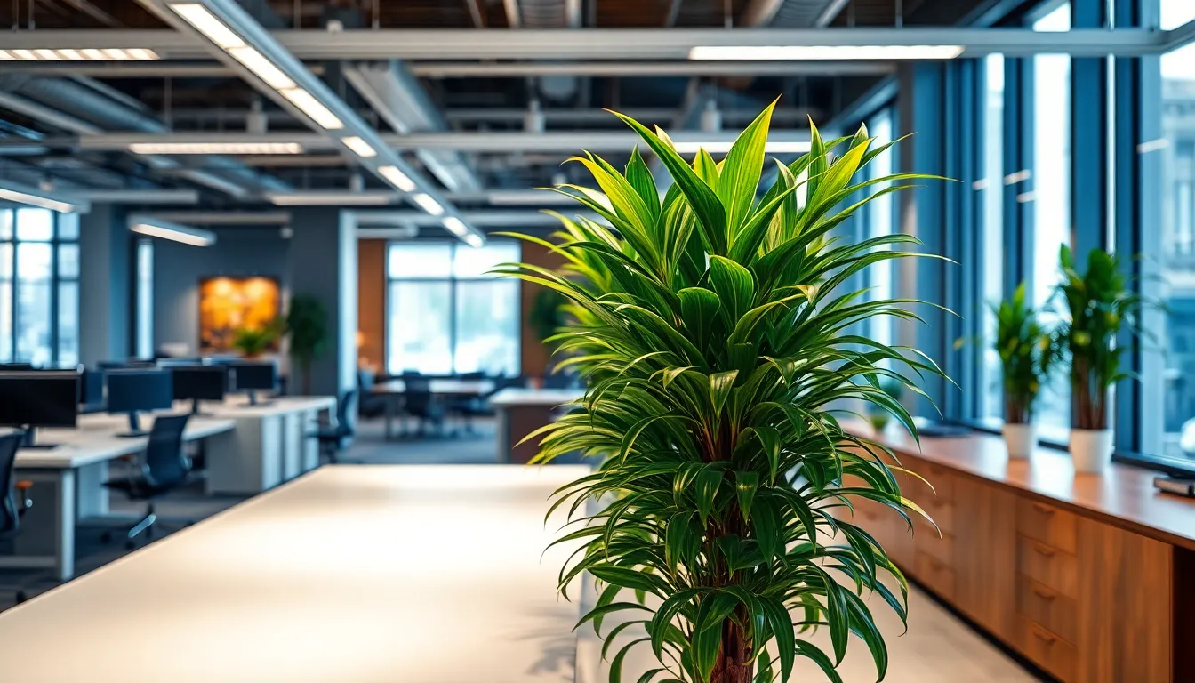 15 Best Office Plants That Thrive With No Sunlight (Low-Light Winners!) 16 15 Best Office Plants That Thrive With No Sunlight (Low-Light Winners!) 15