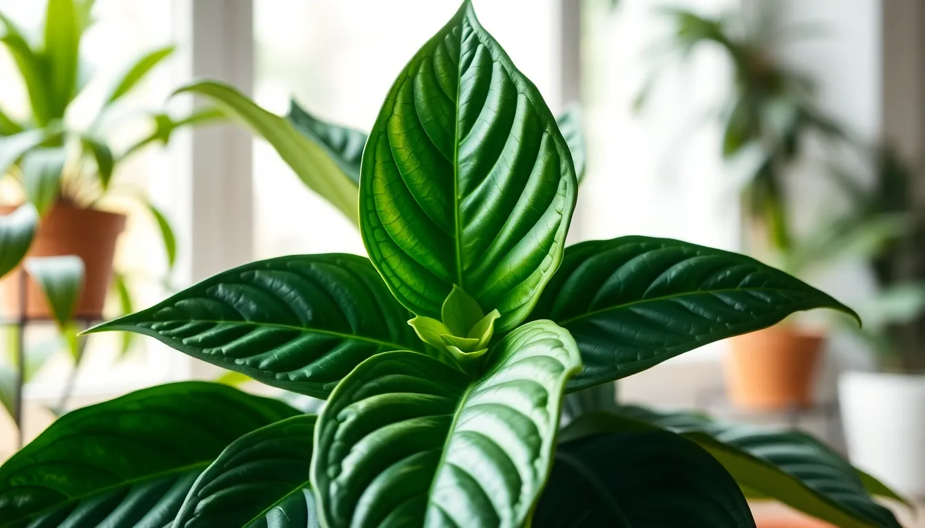 15 Stunning Types of Philodendron Plants Every Plant Parent Should Know 18 15 Stunning Types of Philodendron Plants Every Plant Parent Should Know 17