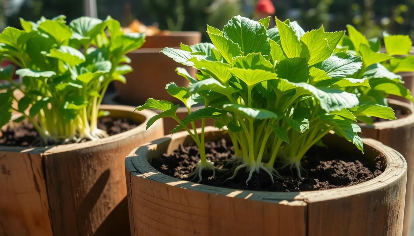 Best Wooden Pots for Plants: Complete Guide to Choosing & Caring for Wood Planters 18 Best Wooden Pots for Plants: Complete Guide to Choosing & Caring for Wood Planters 17