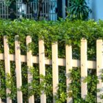 backyard fence boosts property value