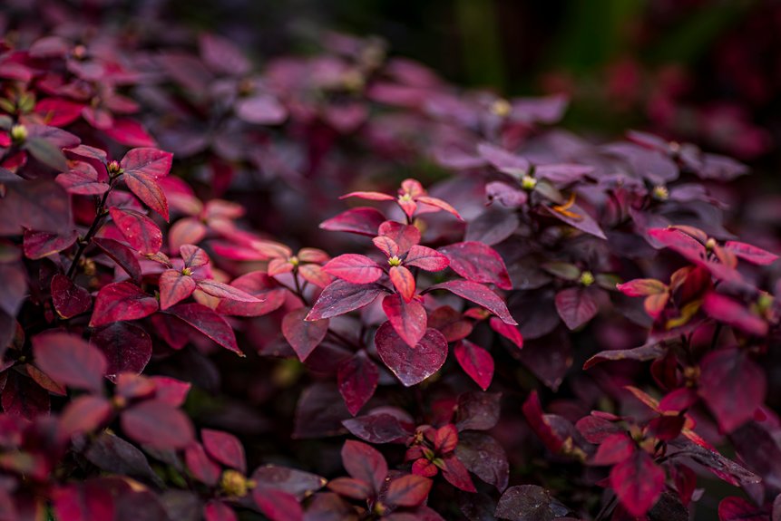 seasonal planting guide for ohio