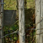 seven fence materials pros and cons