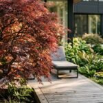 five best backyard trees 2026