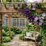 top climbing vines for pergolas